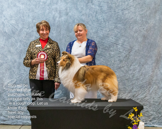 Dogshow 2023-03-05 CSSC Day 1 Show 1 Win Photos--145920-3