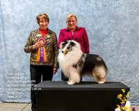 Dogshow 2023-03-05 CSSC Day 1 Show 1 Win Photos--145634-2