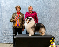 Dogshow 2023-03-05 CSSC Day 1 Show 1 Win Photos--145634