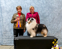 Dogshow 2023-03-05 CSSC Day 1 Show 1 Win Photos--145635