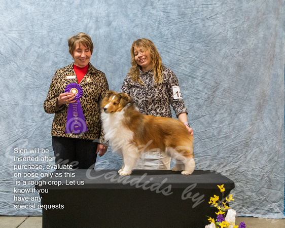 Dogshow 2023-03-05 CSSC Day 1 Show 1 Win Photos--150458-2