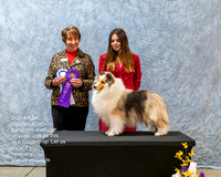 Dogshow 2023-03-05 CSSC Day 1 Show 1 Win Photos--150122-2