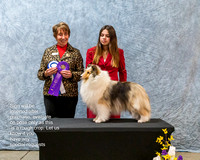 Dogshow 2023-03-05 CSSC Day 1 Show 1 Win Photos--150127