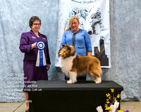 Dogshow 2023-03-04 CSSC Day 1 Show 1 Win Photos--121039-2