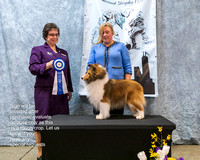 Dogshow 2023-03-04 CSSC Day 1 Show 1 Win Photos--121042