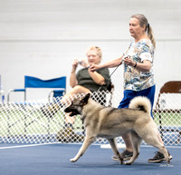 Dogshow 2022-07-03 NEINEA Candids Day 2--104156