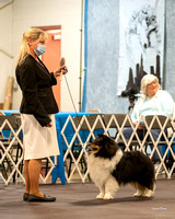Dogshow 2022-03-05 CSSC Show 1 Candids --115019