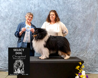 Dogshow 2023-03-05 CSSC Day 1 Show 1 Win Photos--111528