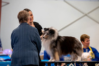 Dogshow 2023-03-05 Chicagoland Sheltland Sheepdog Club Specialty Day 2 Candids--104331