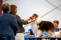 Dogshow 2023-03-05 Chicagoland Sheltland Sheepdog Club Specialty Day 2 Candids--104504