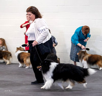 Dogshow 2023-03-05 Chicagoland Sheltland Sheepdog Club Specialty Day 2 Candids--141338-2