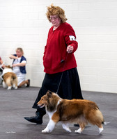 Dogshow 2023-03-05 Chicagoland Sheltland Sheepdog Club Specialty Day 2 Candids--142952-5