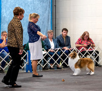 20230305 Show 2 Best of Breed Competition