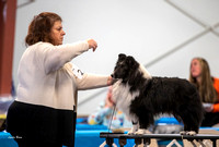 Dogshow 2023-03-05 Chicagoland Sheltland Sheepdog Club Specialty Day 2 Candids--130357