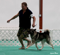 Dogshow 2024-06-29 NEINEA Candids--123145