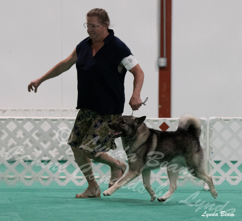 Dogshow 2024-06-29 NEINEA Candids--123145