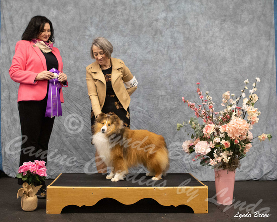 Dogshow 2025-04-05 2025 Interlocking SSC of Monee Win Photos --115421-2