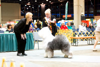 Dogshow 2015-01-31 ChicagoIntl--180402