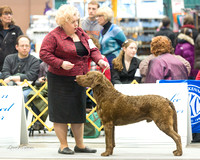 Dogshow 2015-01-31 ChicagoIntl--154520