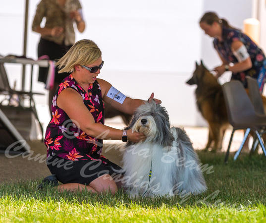 Dogshow 2022-06-19 Northeastern Illinois Kennel Club--123414-2