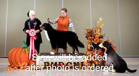 Dogshow 2024-10-25 BMDCNI Day 1--161533