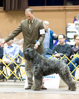 Dogshow 2015-01-31 ChicagoIntl--175750