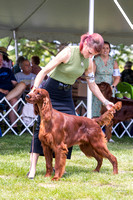 Dogshow 2022-07-30 Waukesha KC--103856