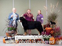 Dogshow 2024-10-26 BMDCNI Day 2--165239-2