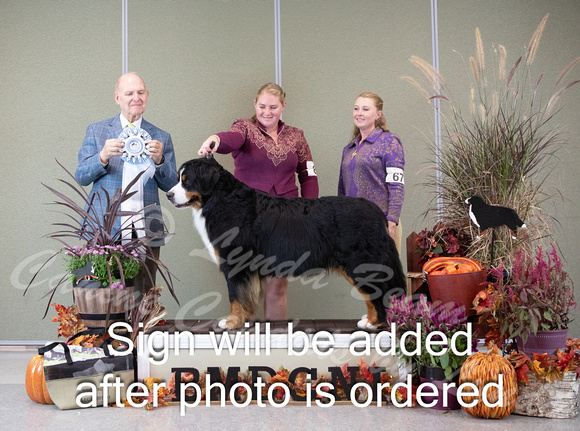 Dogshow 2024-10-26 BMDCNI Day 2--165239-2