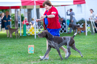 Dogshow 2018-07-30 Burlington WI (Mon)--162621-2