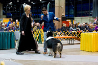 Dogshow 2015-01-31 ChicagoIntl--175422