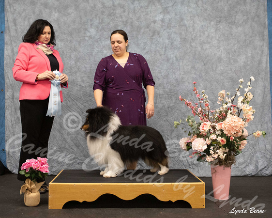 Dogshow 2025-04-05 2025 Interlocking SSC of Monee Win Photos --115530