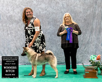 Dogshow 2023-07-02 NEINEA Win Photos Day 2--135101 copy