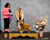 Dogshow 2025-04-05 2025 Interlocking SSC of Monee Win Photos --115411