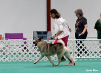 Dogshow 2024-06-29 NEINEA Candids--123141