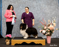 Dogshow 2025-04-05 2025 Interlocking SSC of Monee Win Photos --115600