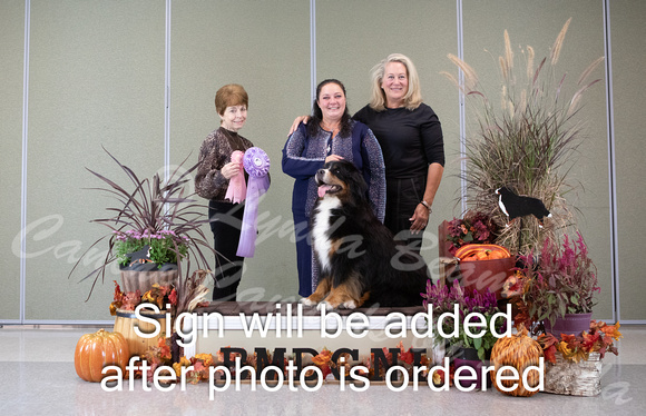 Dogshow 2024-10-26 BMDCNI Day 2--132453