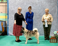 Dogshow 2023-07-01 NEINEA Shows 1 and 2--142329-3