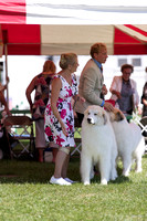 20160801 Great Pyrenees