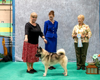 Dogshow 2023-07-01 NEINEA Shows 1 and 2--142329-4