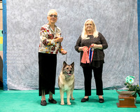 Dogshow 2023-07-02 NEINEA Win Photos Day 2--135735-3