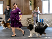Dogshow 2025-04-05 2025 Interlocking SSC of Monee Candid Photos --110236-3