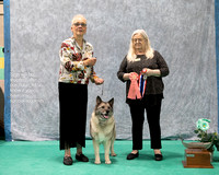 Dogshow 2023-07-02 NEINEA Win Photos Day 2--135739