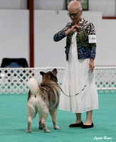 Dogshow 2024-06-30 NEINEA Candids--111528