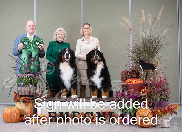 Dogshow 2024-10-26 BMDCNI Day 2--165128