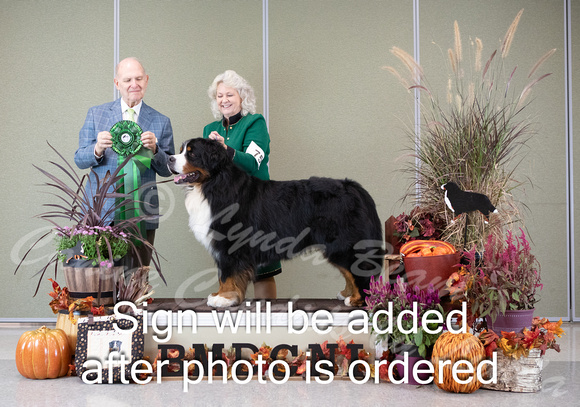 Dogshow 2024-10-26 BMDCNI Day 2--164748-3