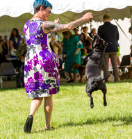 Dogshow 2022-06-17 Northeastern Illinois Kennel Club--143320-4