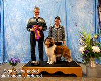 Dogshow 2025-03-02 CSSC Win Photos Day 2 --144501-2