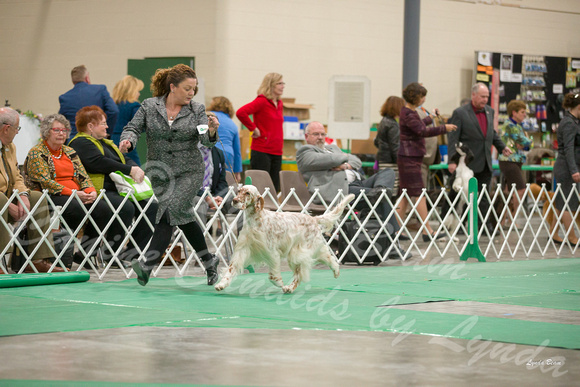 Dogshow 2018-01-26 Grayslake Day 2--174205-4