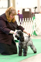 20120421 Sporting Puppy and Best Puppy in Show